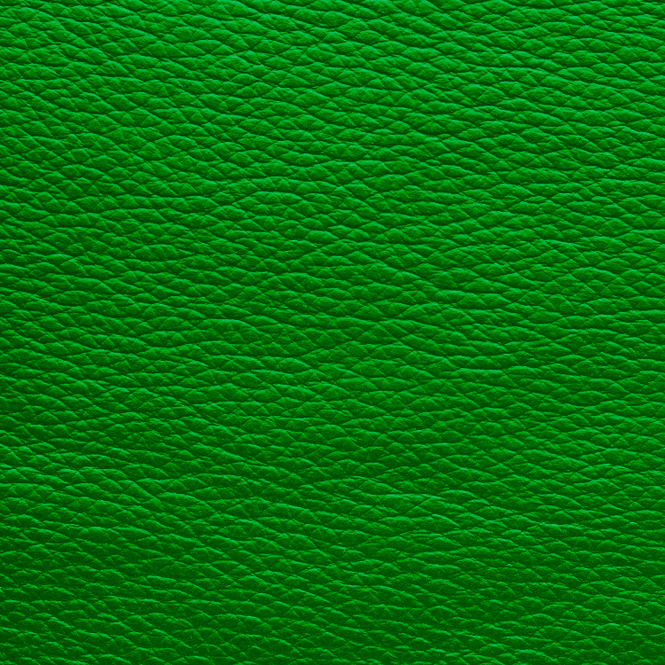 Hovedbilde Poly Green Meadow -10281 550 Paracord