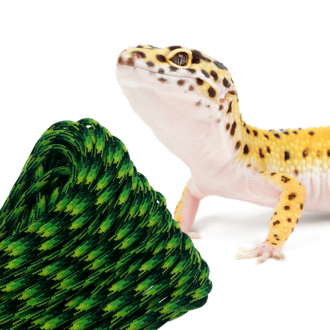 Hovedbilde Gecko 682 - 550 Paracord